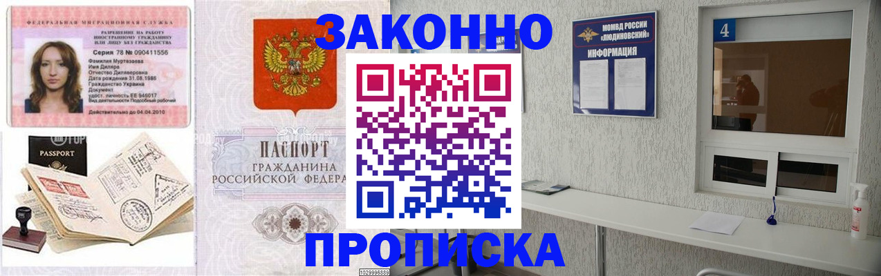 прописка в квартире в Каменке